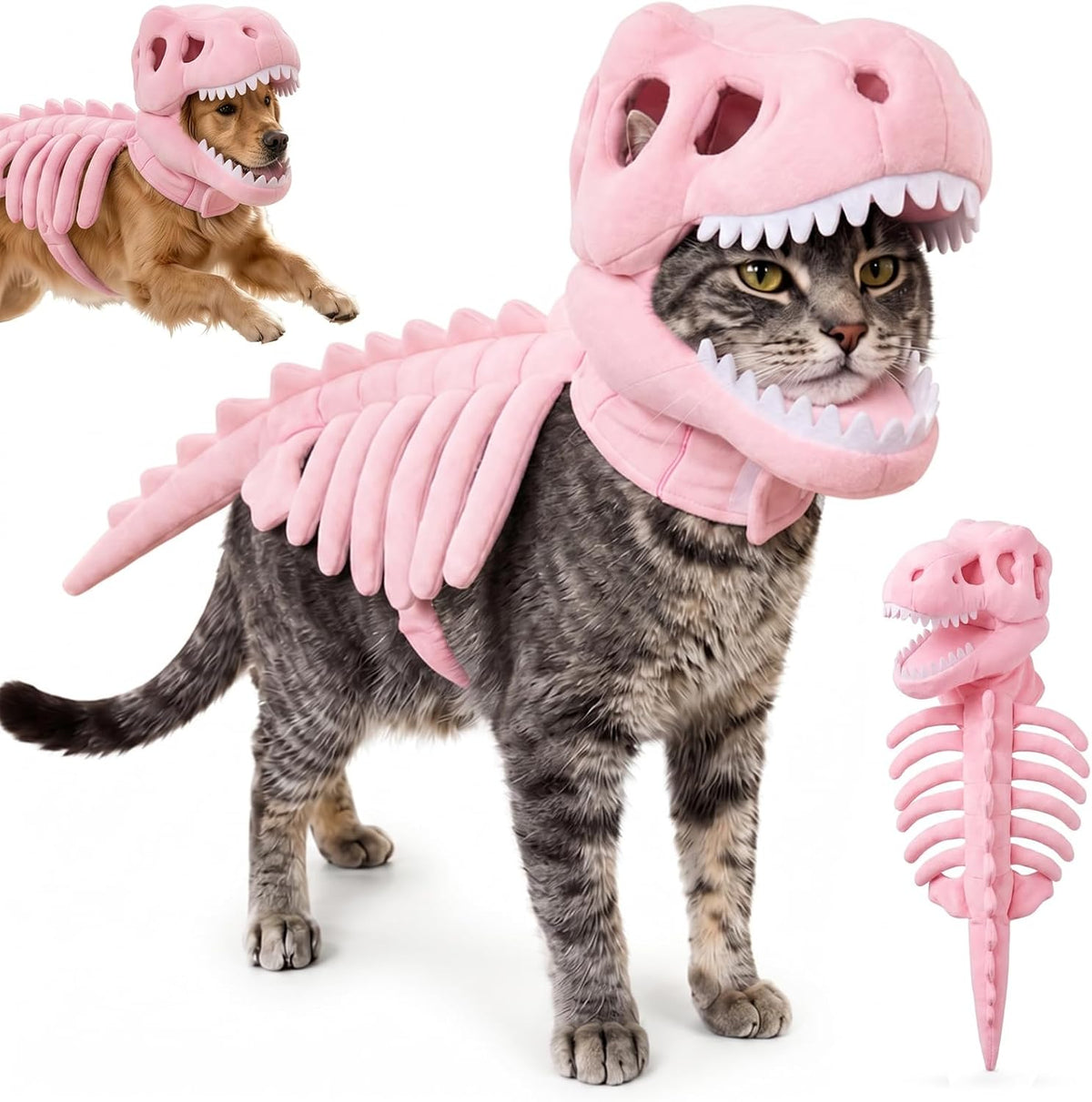 Spooky Dino Bones Pet Costume