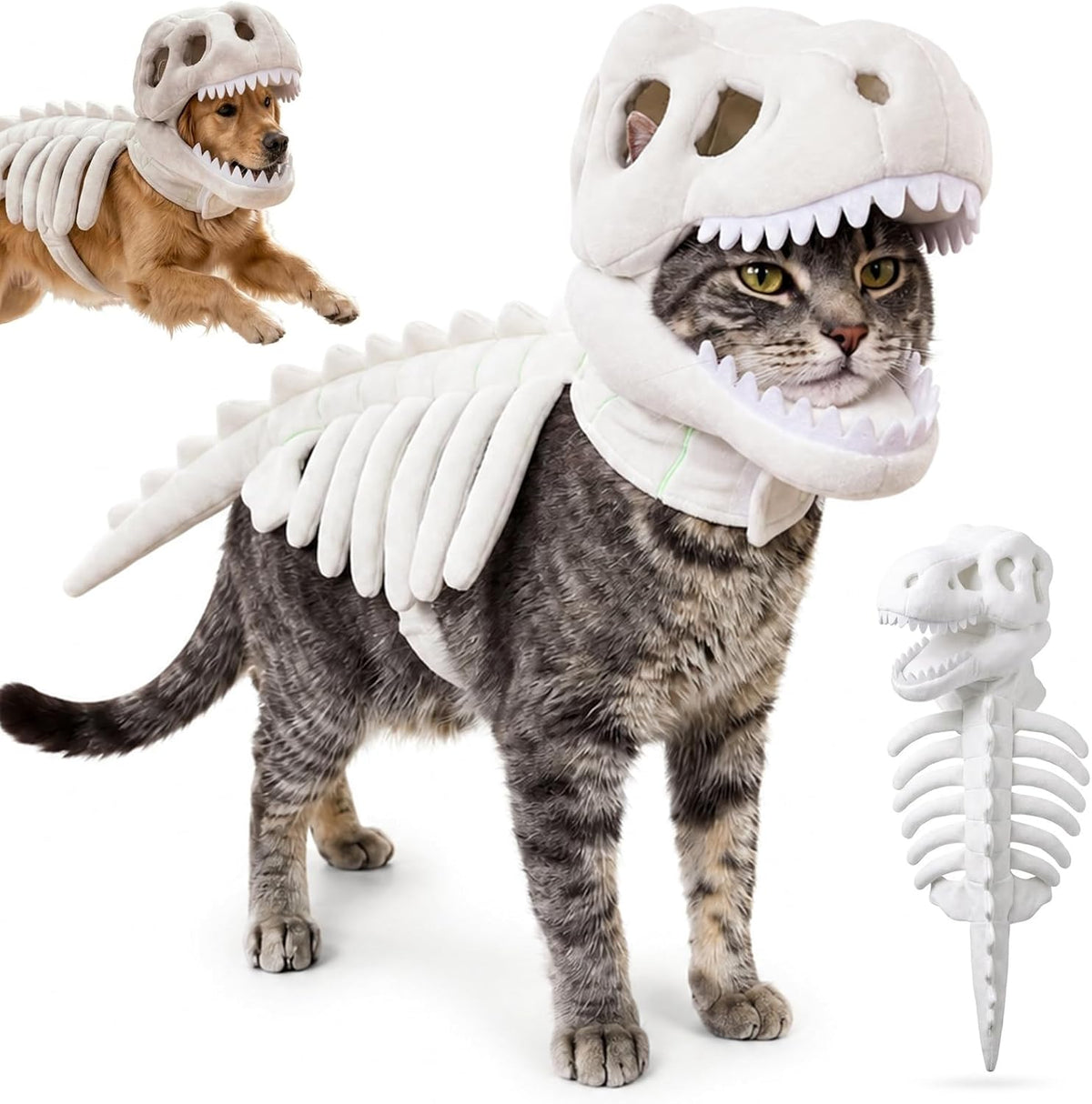 Spooky Dino Bones Pet Costume